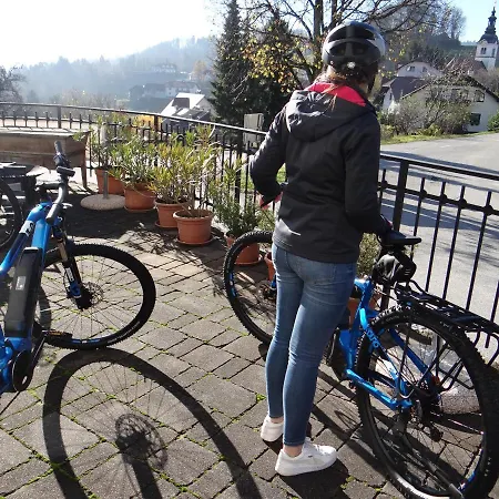 Mozinetova Hisa Apartamento *