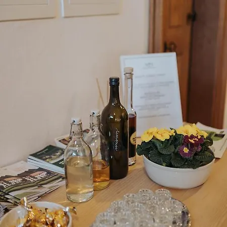 Mozinetova Hisa Apartamento *