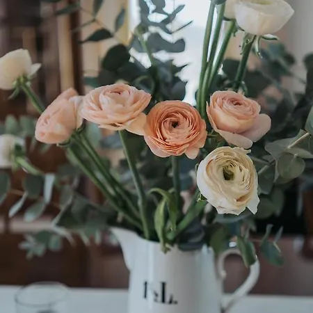 Mozinetova Hisa Apartamento *