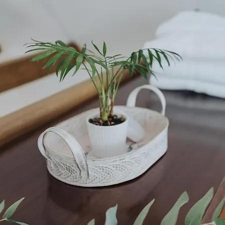 Mozinetova Hisa Sentjost nad Horjulom