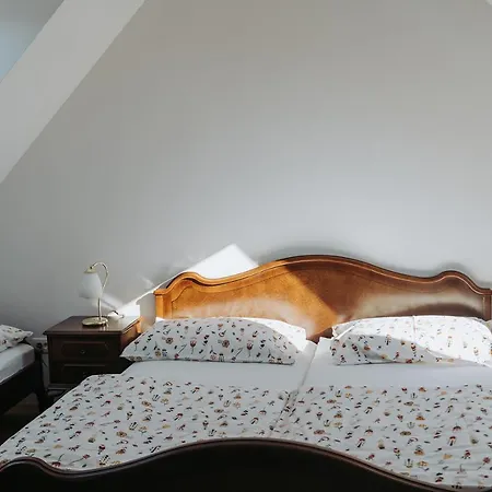 Apartment Mozinetova Hisa *