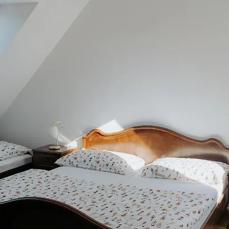 Mozinetova Hisa Apartamento Sentjost nad Horjulom