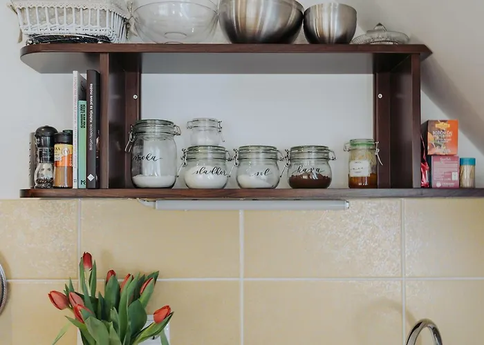 アパート Mozinetova Hisa *