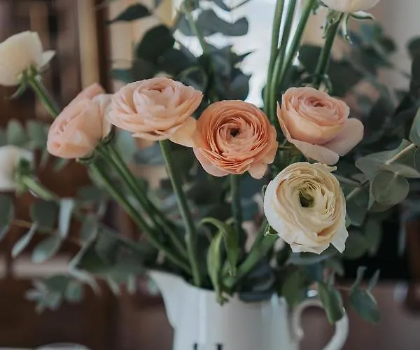 Mozinetova Hisa Lejlighed *