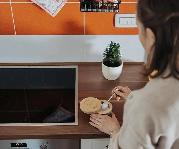 Lejlighed Mozinetova Hisa