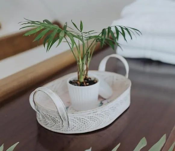 Mozinetova Hisa Sentjost nad Horjulom