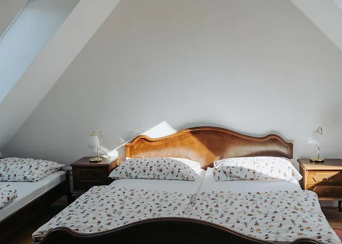 アパート Mozinetova Hisa *